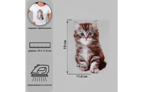 7339262 термотрансфер котёнок 11,6*19см, упак/1шт бс купить по 89 - в интернет - магазине Веллтекс | Омск
.